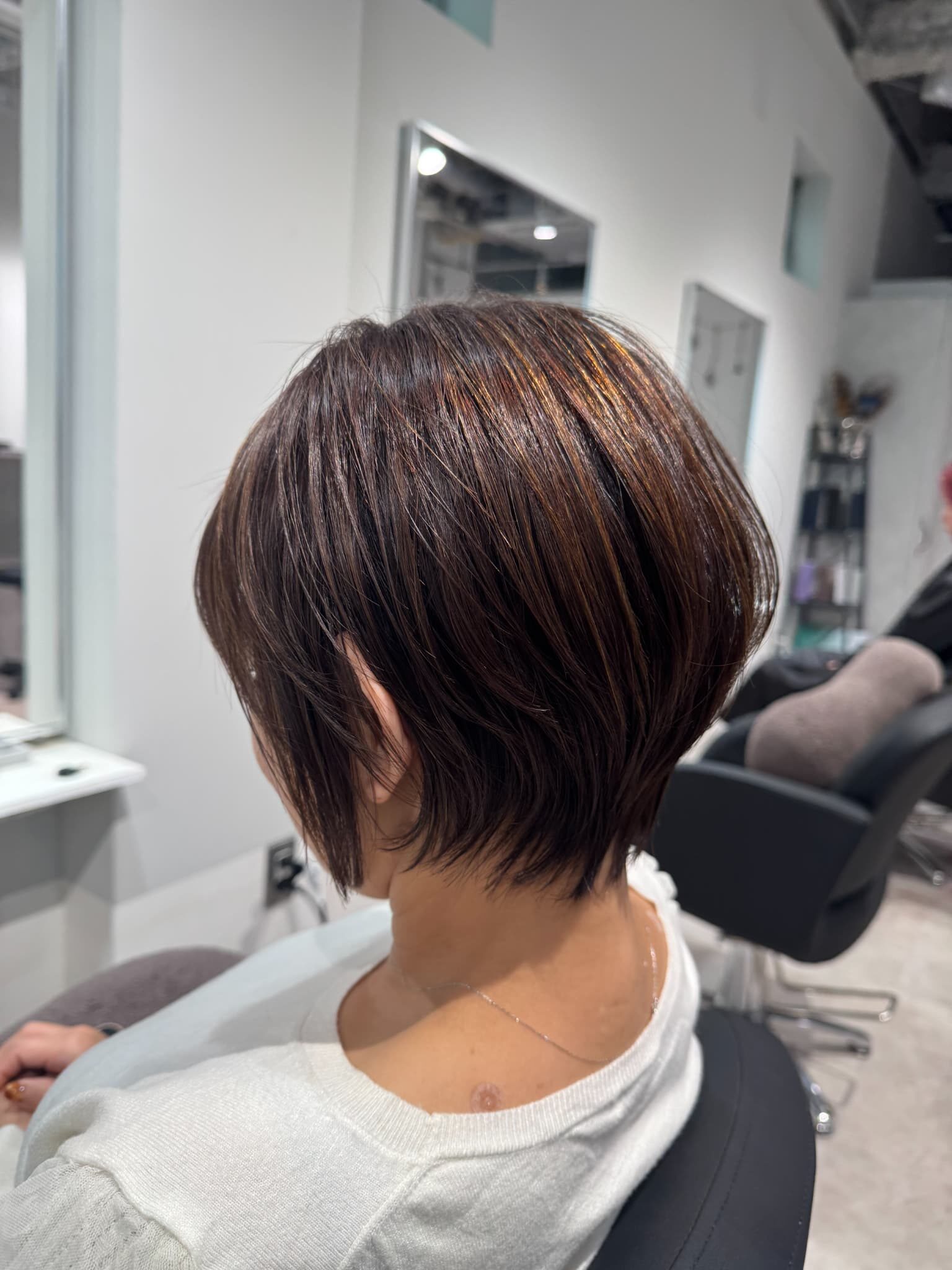 骨格カットイメージ