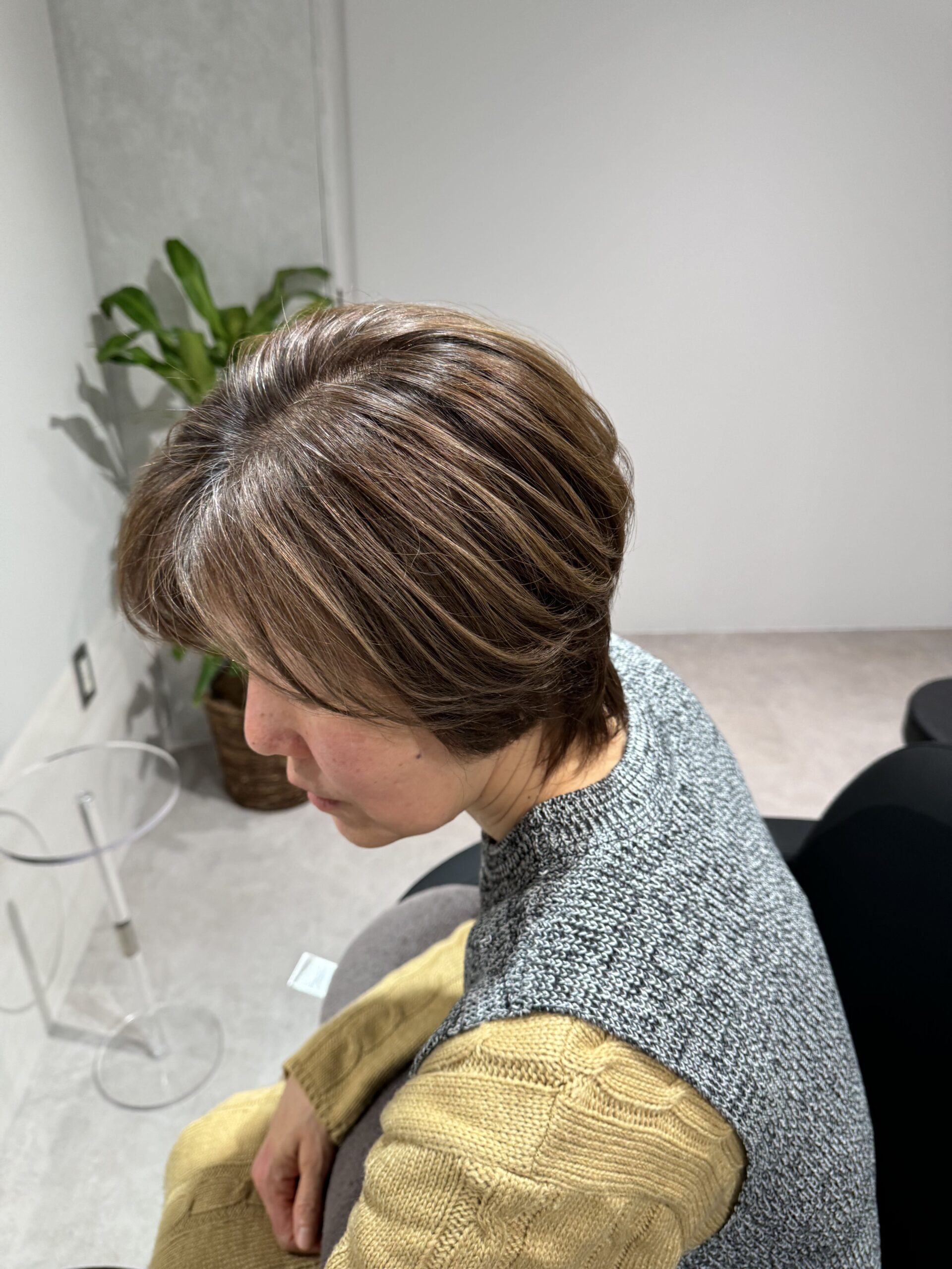 白髪ぼかしイメージ